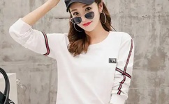 儿女传奇之家有辣嫂